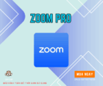 ZOOM PRO WORKSPACE (100 NGƯỜI) NÂNG CẤP CHÍNH CHỦ