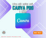 CANVA PRO 1 NĂM- NÂNG CẤP CHÍNH CHỦ